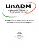 B2. Anatomía y fisiología 1