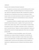 Introducción sobre la importancia del tema para la organización.