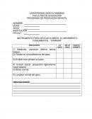 Fichas de observación psicomotricidad