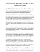 La Importancia del Manejo Básico de una Hoja de Cálculo Electrónica en el Trabajo