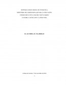 El Tema acerca de El alcohol y el cigarrillo