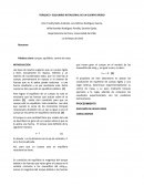 TORQUES Y EQUILIBRIO ROTACIONAL DE UN CUERPO RÍGIDO