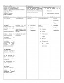 Planeacion proyecto sstema circulatorio