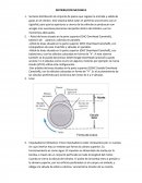 LA GRAN DISTRIBUCIÓN MECÁNICA.
