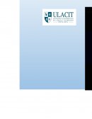 Desarrollo de destrezas de trabajo en equipo.