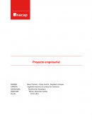 DESCRIPCIÓN Y FUNDAMENTOS DEL PROYECTO EMPRESARIAL.