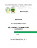 El aparato respiratorio está formado por el sistema nervioso central y periférico (que coordinan el funcionamiento del resto de estructuras), los pulmones y vías aéreas, la vascularización pulmonar y la caja torácica (tanto la parte muscular como la