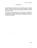 Funciones de enfermeria actividades