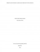 PRESENTACION DE RESULTADOS DE ESTUDIOS DE PUNTOS CRITICOS