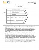 Tema- ACTIVIDADES PRIMARIAS