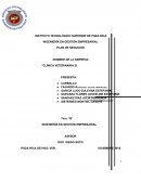 INSTITUTO TECNOLÓGICO SUPERIOR DE POZA RICA.