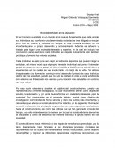 El constructivismo en la educación