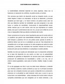La sostenibilidad ambiental depende de varios aspectos, estos son: la tolerancia, la resolución de conflictos, la justicia social y el cambio..