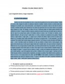 Prueba Coldini Esp. 6.II.16