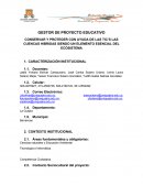 Gestor de proyecto
