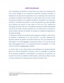 Los Grandes ASPECTOS SOCIALES