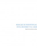 MÉTODOS DE IDENTIFICACIÓN POR MARCAS O SIGNOS ARTIFICIALES.