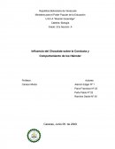 Influencia del Chocolate sobre la Conducta y Comportamiento de los Hámster