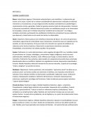 METODOS 2. CAMINO CUANTITATIVO