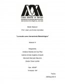 SITIOS MUSEALIZADOS Y MUSEOS DE SITIO: NOTAS SOBRE DOS MODOS DE UTILIZACION DEL PATRIMONIO ARQUELOGICO.