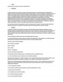 Barras hechas de chocolate y menta, “Confitería Fina”.