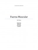 FUERZA MUSCULAR.
