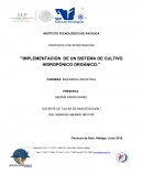 Implementacion del cultivo hidroponico