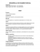 DESARROLLO DE EXAMEN PARCIAL