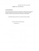 TEMA - CARTA DE RECOMENDACION.