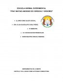 HERRAMIENTAS DE LA MENTE CAPITULO 10 EL JUEGO COMO ACTIVIDAD CONDUCTORA.