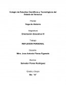 Ensayo Reflexión Personal Orientación Educativa VI