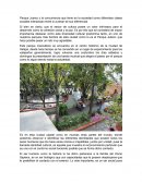 Parque Juarez y la concurrencia que tiene en la sociedad como diferentes clases sociales interactúan entre sí a pesar de sus diferencias