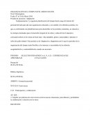 ORGANIZACIÓN DEL TIEMPO NIVEL MEDIO MAYOR