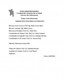 Actividad practica N º 3 “El profesional del cuidado”