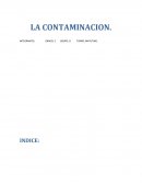 Un Ensayo acerca de la Contaminacion