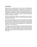 COMUNICACIÓN INTERNA SSISA,