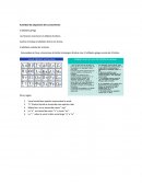 Etimologias griegas y latinas.