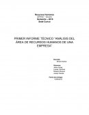 Empresa Holding, Áreas Funcionales.