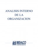 AnalisiS interno de la empresa BESALCO.