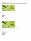 Reparacion prueba de ciencias