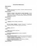 Los geandes indicadores del primer dibujo