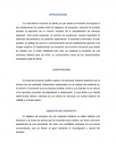 Introduccion a un gran proyecto