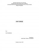 La gran Descripcion del una problema