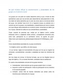 De qué manera influye la caracterización y propiedades de los grupos en el entorno social