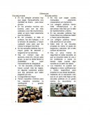 Diferencias entre escuelas publicas y privadas en mexico.