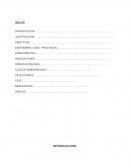 LA ENFERMERIA COMO PROFESION