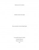 Ensayo producciòn de textos