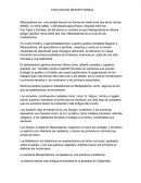 Civilizacion mesopotamica.