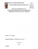 ANALISIS EXPERIMENTAL DE RESPIRACIÓN ANAEROBICA: MECANISMOS DE FERMENTACION EN CACHINA Y VINAGRE