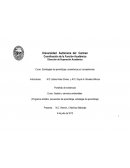 Estrategias de aprendizaje y enseñanza por competencias.